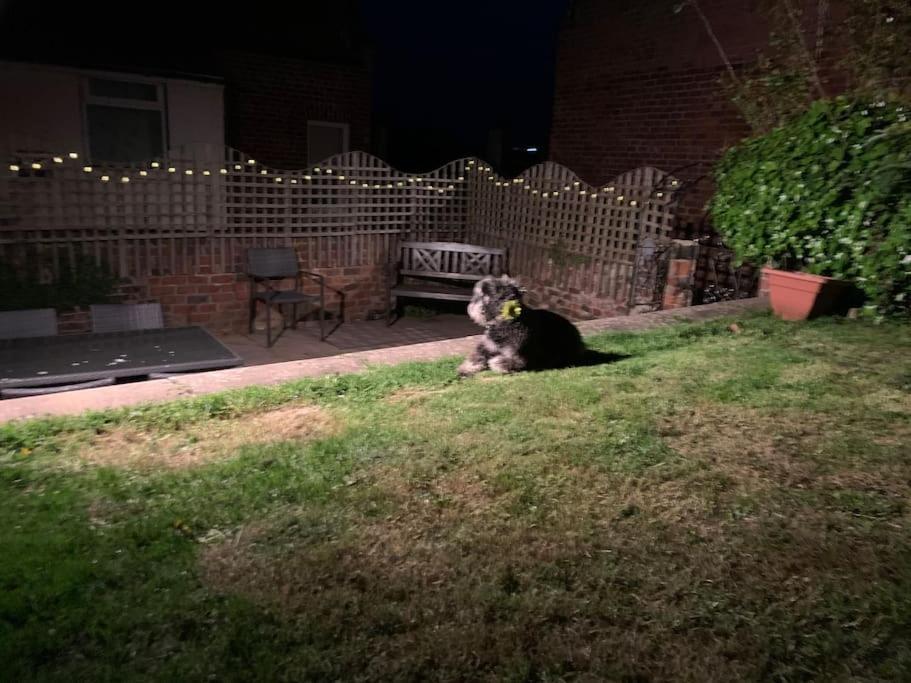Award winning pet friendly paddock cottage Whitby Exteriör bild