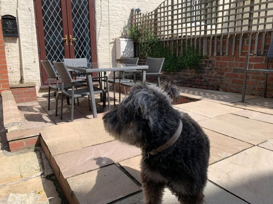 Award winning pet friendly paddock cottage Whitby Exteriör bild