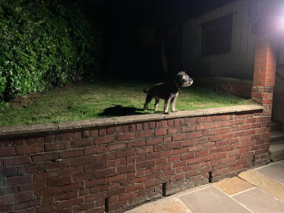 Award winning pet friendly paddock cottage Whitby Exteriör bild
